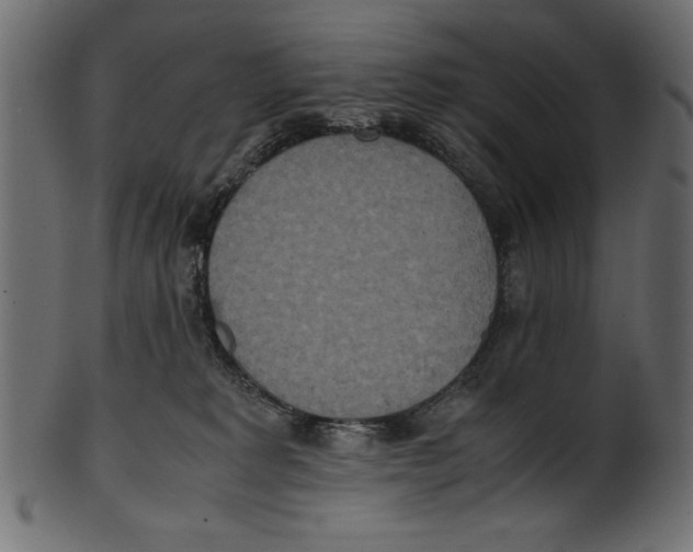X0000100850229200807181103