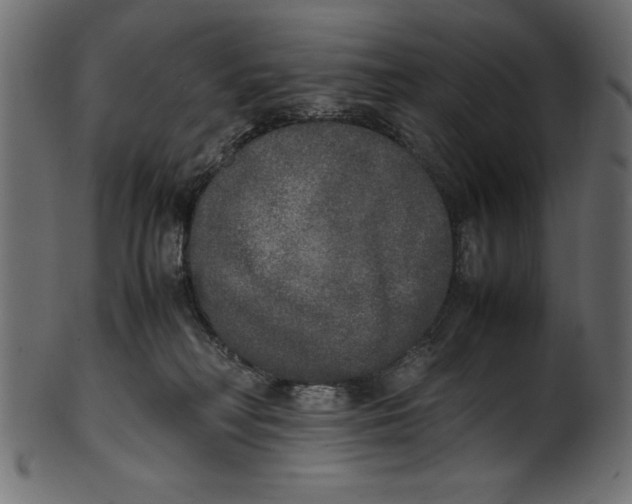 X0000100850230200807181103
