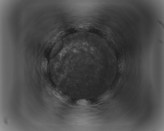 X0000100850231200807181103