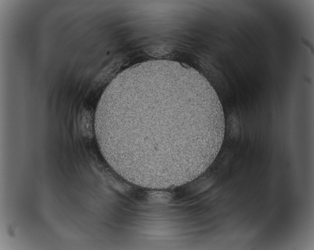 X0000100850234200807181103