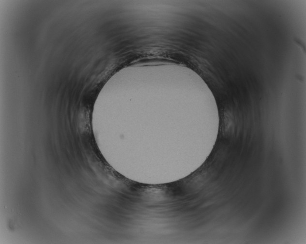 X0000100850236200807181103