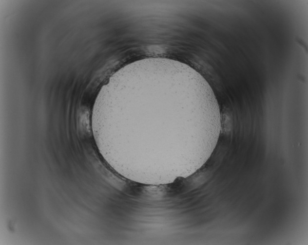 X0000100850238200807181103