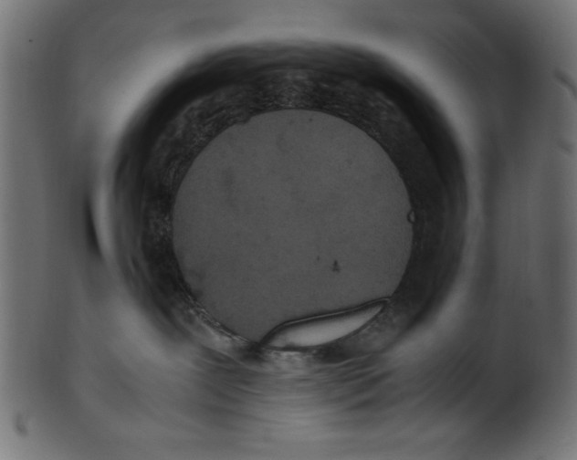 X0000100850239200807181103