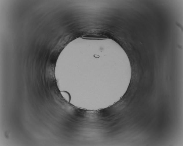 X0000100850240200807181103