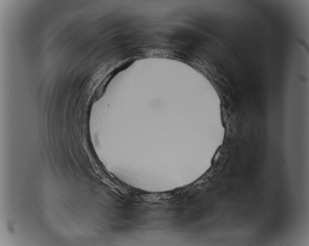 X0000100850241200807181102