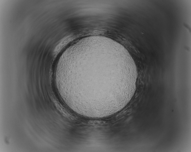 X0000100850242200807181102