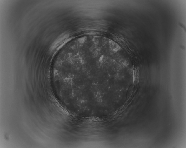 X0000100850243200807181102