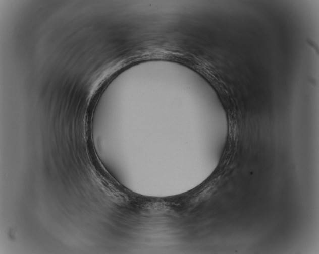 X0000100850244200807181102