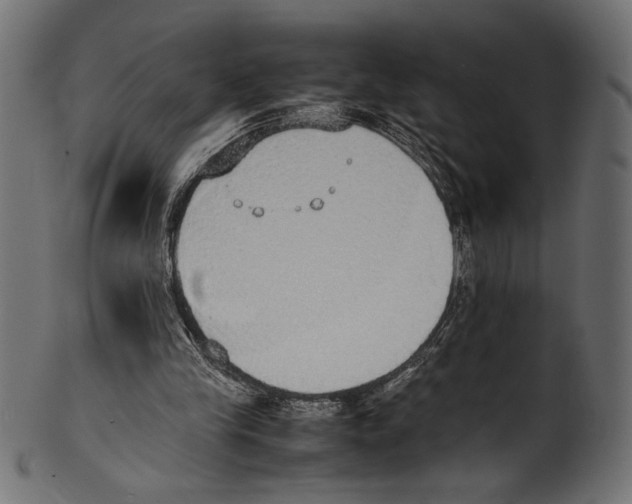 X0000100850245200807181102