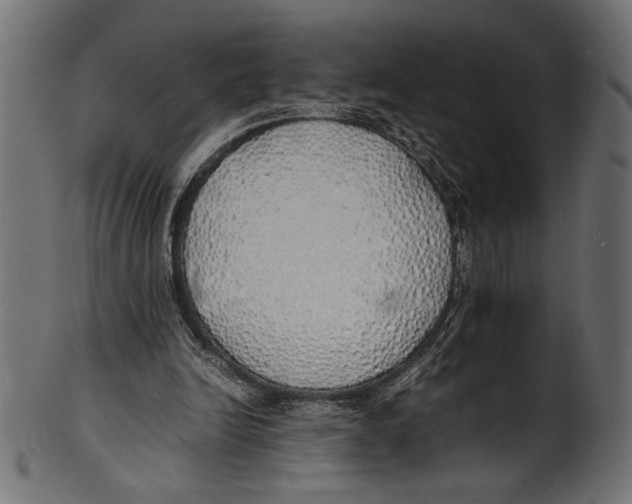 X0000100850246200807181102