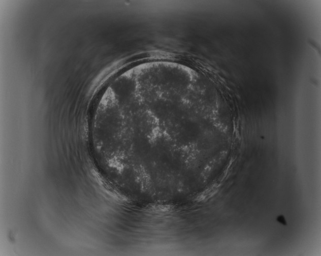 X0000100850247200807181102