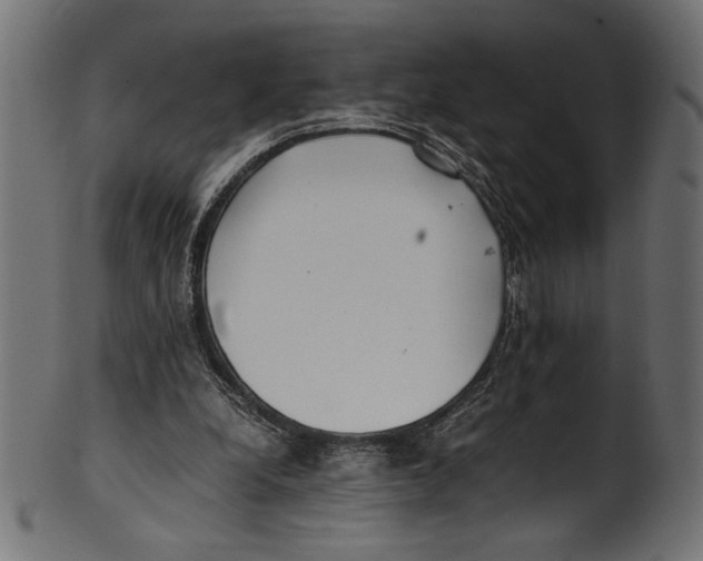 X0000100850248200807181102