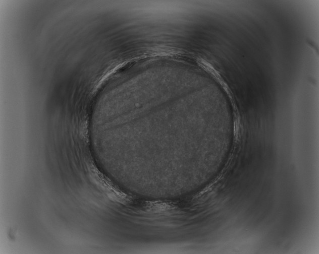 X0000100850249200807181103