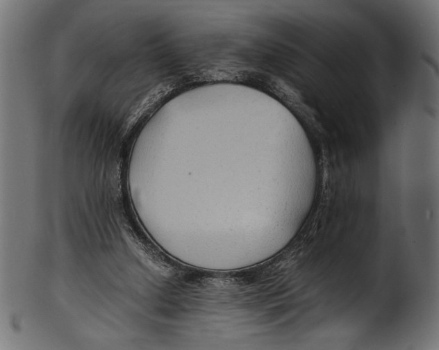 X0000100850250200807181103