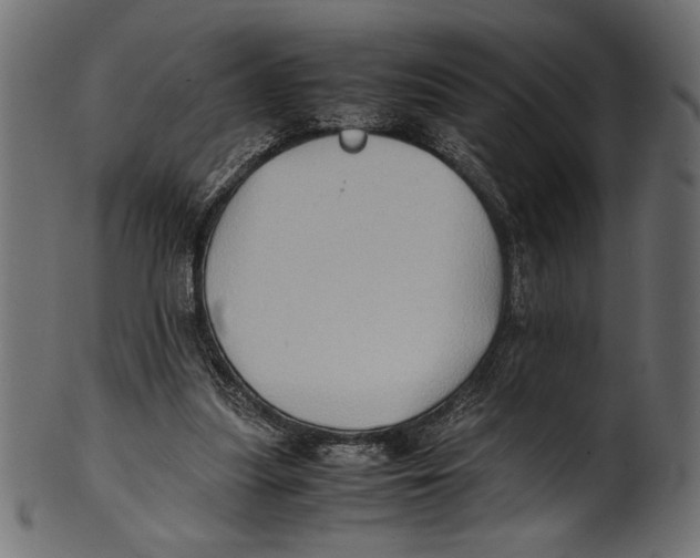 X0000100850251200807181103