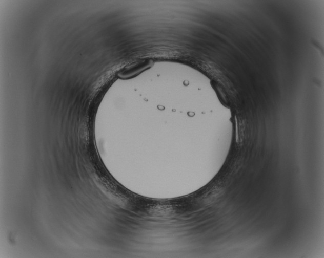X0000100850252200807181103
