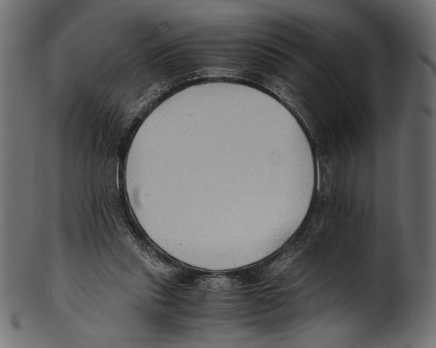 X0000100850253200807181103