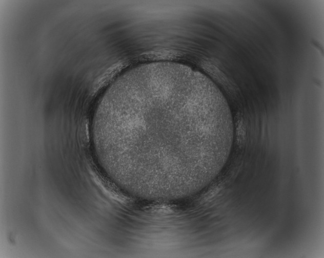 X0000100850254200807181103