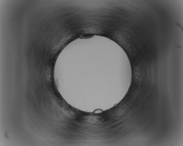 X0000100850255200807181103