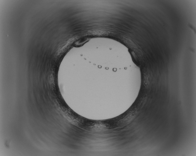 X0000100850256200807181103