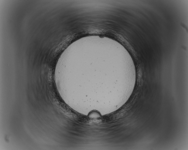 X0000100850257200807181103