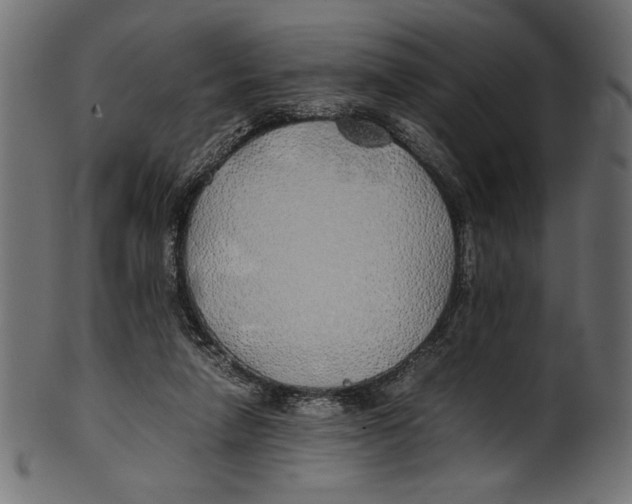 X0000100850258200807181103