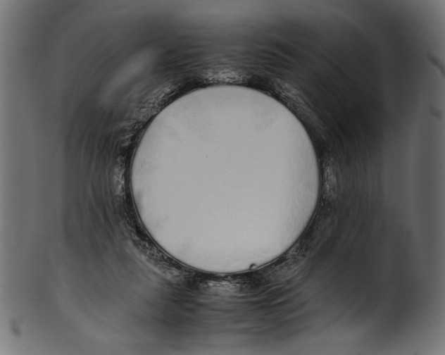X0000100850259200807181103