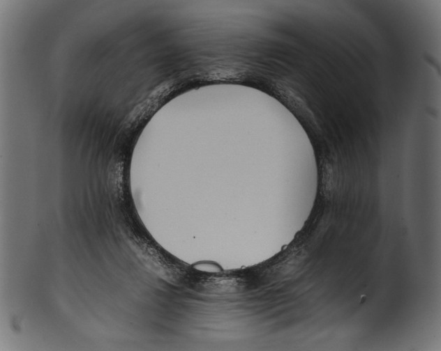 X0000100850260200807181103