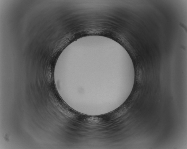 X0000100850261200807181103