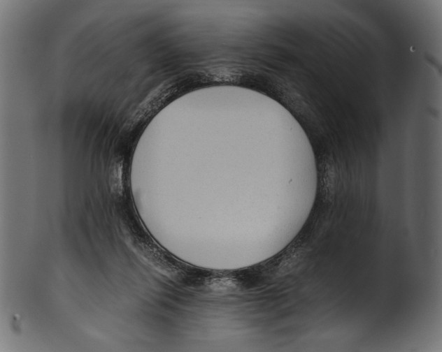 X0000100850262200807181103