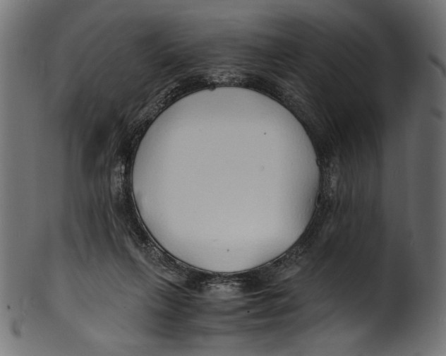 X0000100850263200807181103
