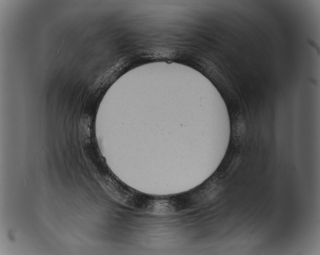 X0000100850264200807181103