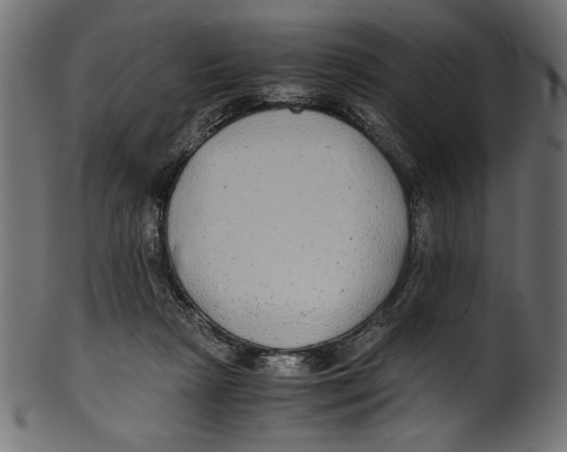 X0000100850265200807181103