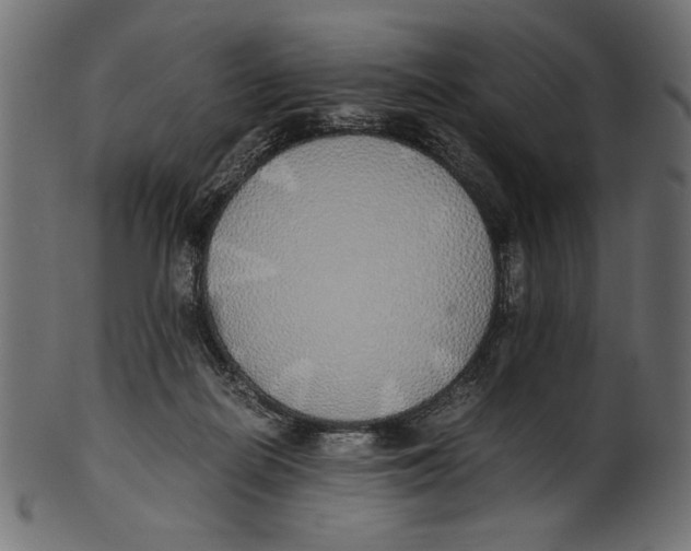 X0000100850266200807181103