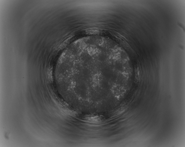 X0000100850267200807181103