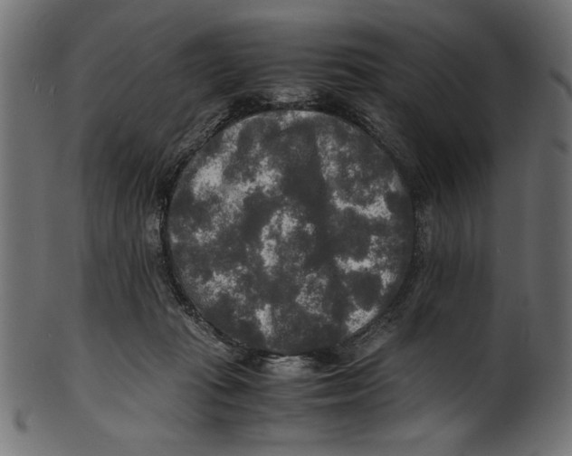 X0000100850269200807181103