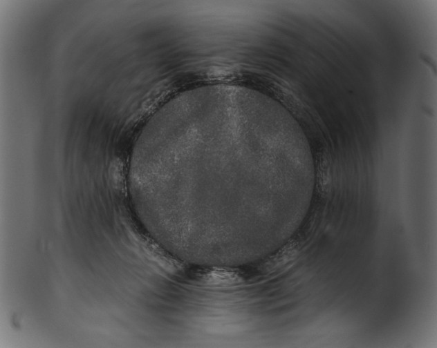 X0000100850270200807181103