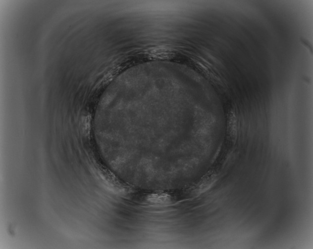 X0000100850271200807181103