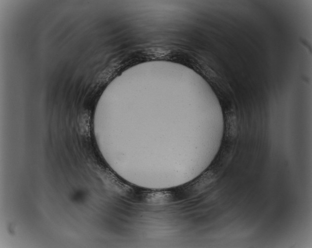 X0000100850274200807181103