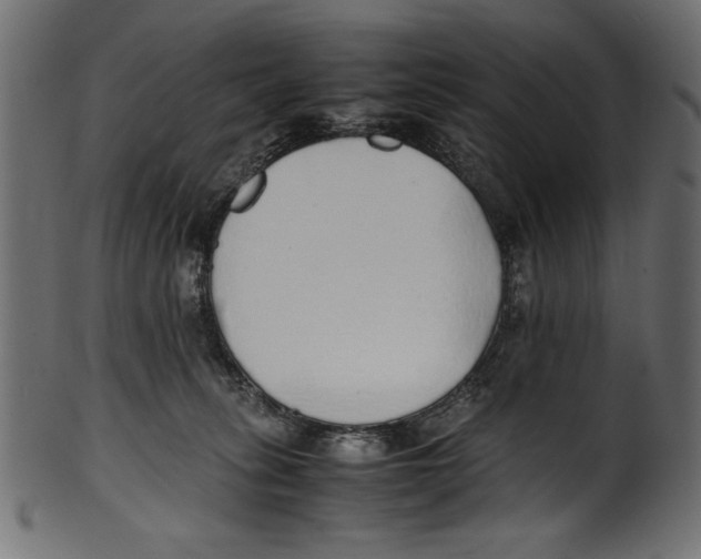 X0000100850275200807181103