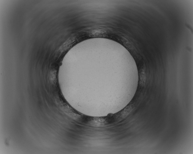 X0000100850278200807181103
