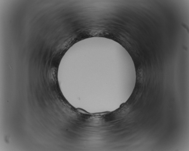 X0000100850280200807181103