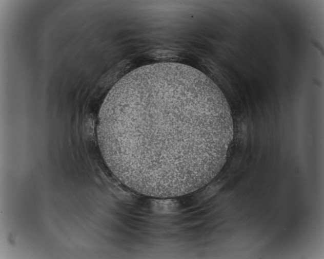 X0000100850281200807181103