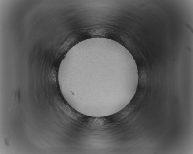 X0000100850282200807181103