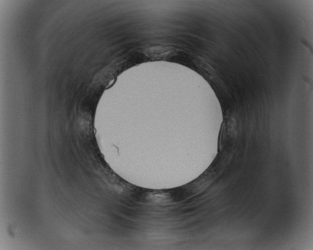 X0000100850283200807181103
