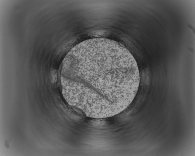 X0000100850284200807181103