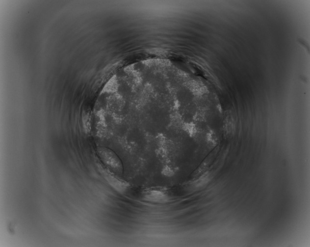 X0000100850285200807181103