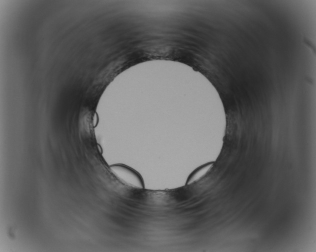 X0000100850287200807181103