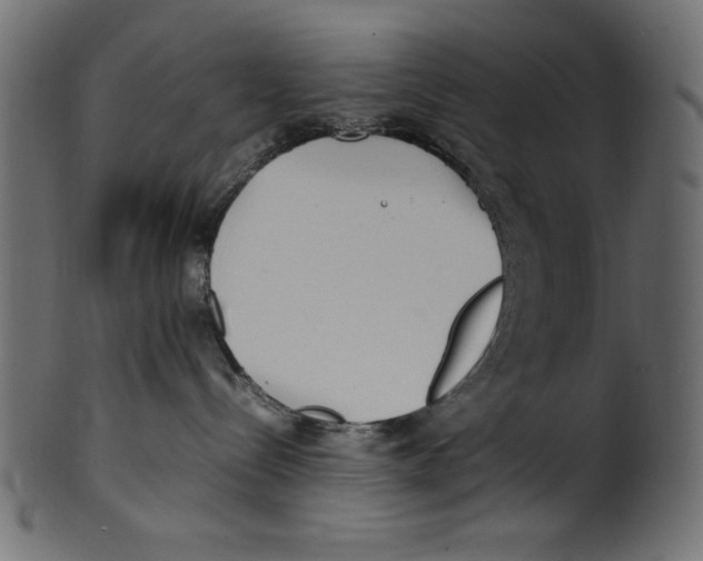 X0000100850288200807181103
