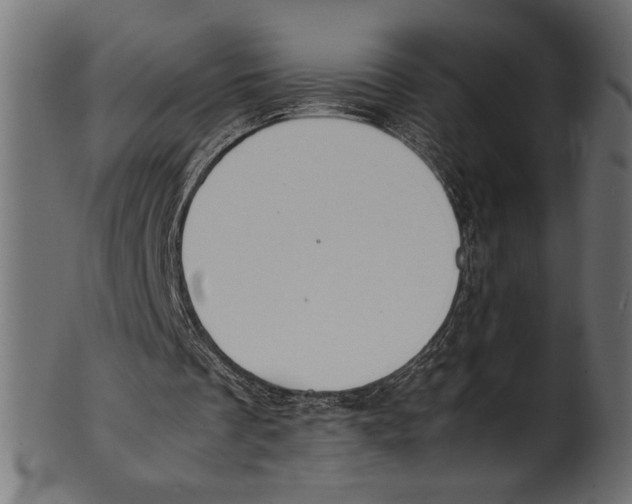 X0000100850289200807181102